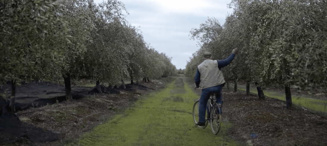 Virgulino riding his bike through the olive groves