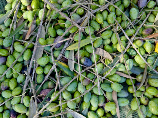 Green olives