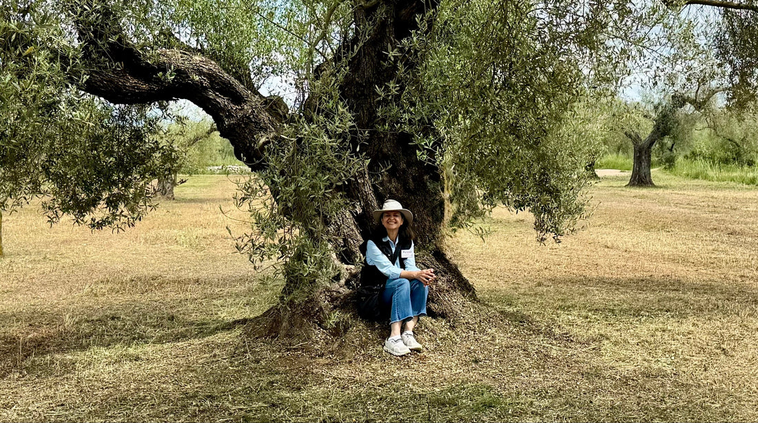 Welcoming Pari Motiwala to the team