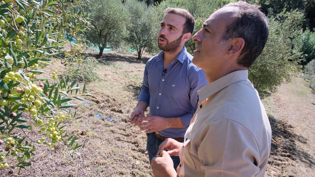 João Mendes talking to Nader Akhnoukh