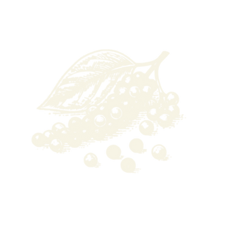 Black Pepper