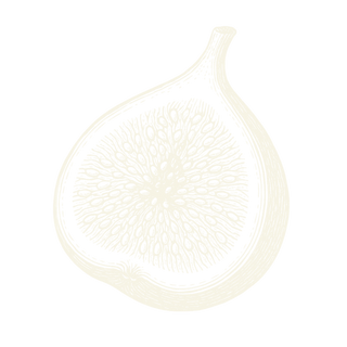 Fig