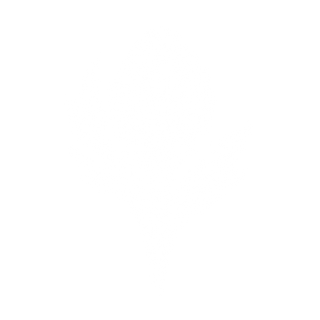 Artichoke