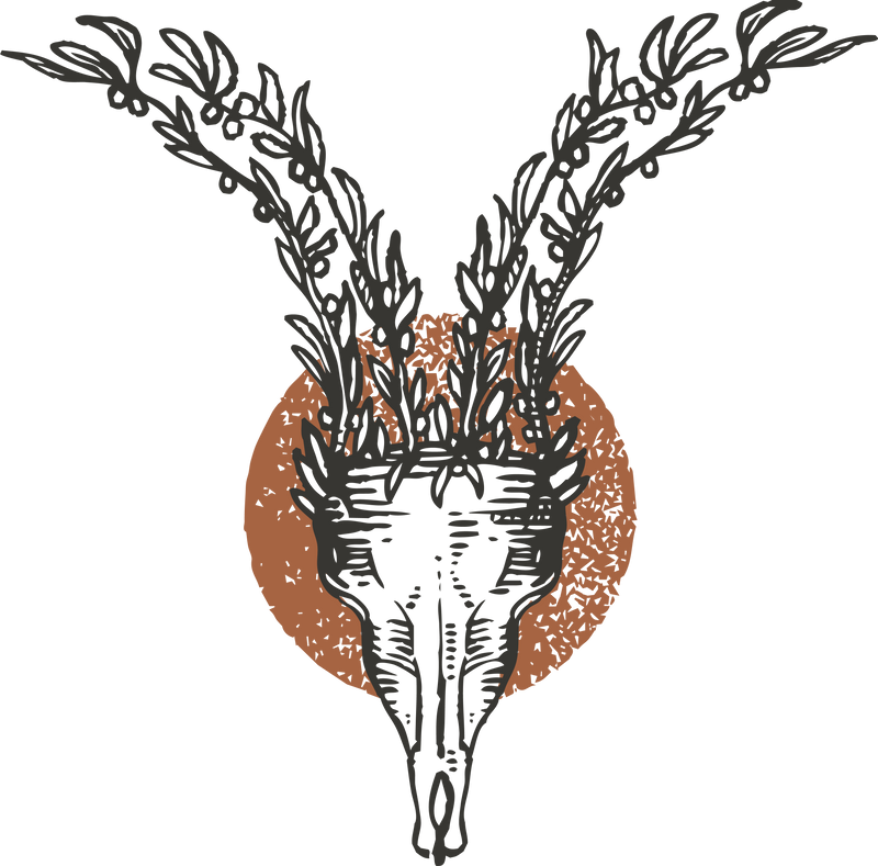 Custom Image