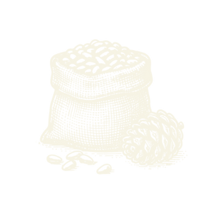 Pine Nuts
