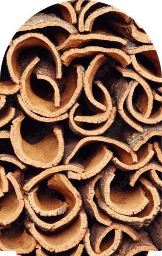 Stacked cork bark from Portuguese cork trees