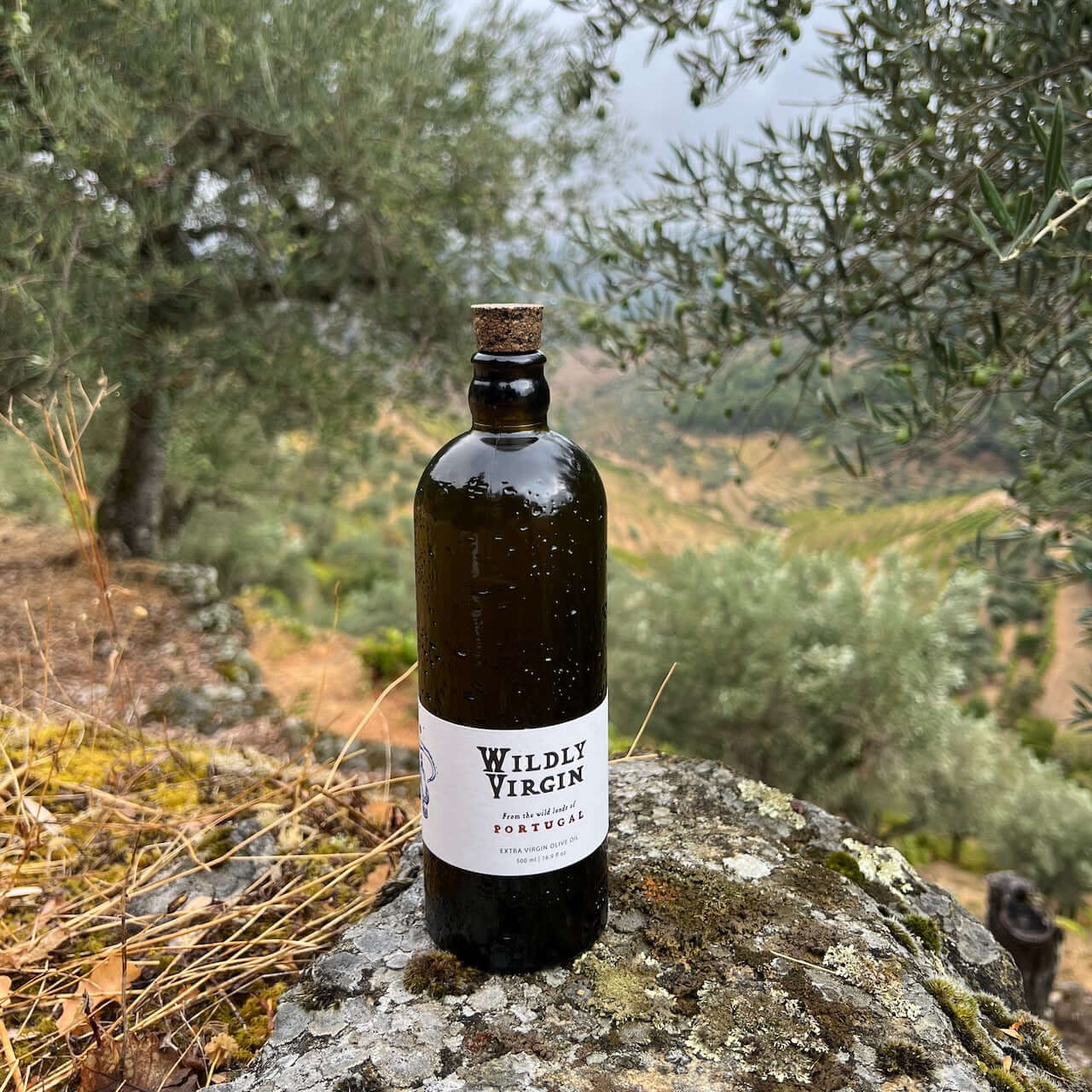 Wildly Virgin Olive Oil bottle outside