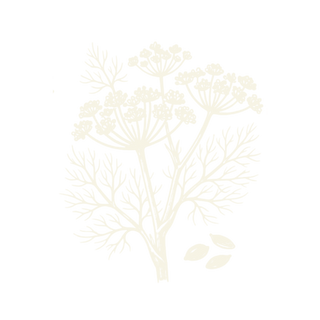Wild Fennel