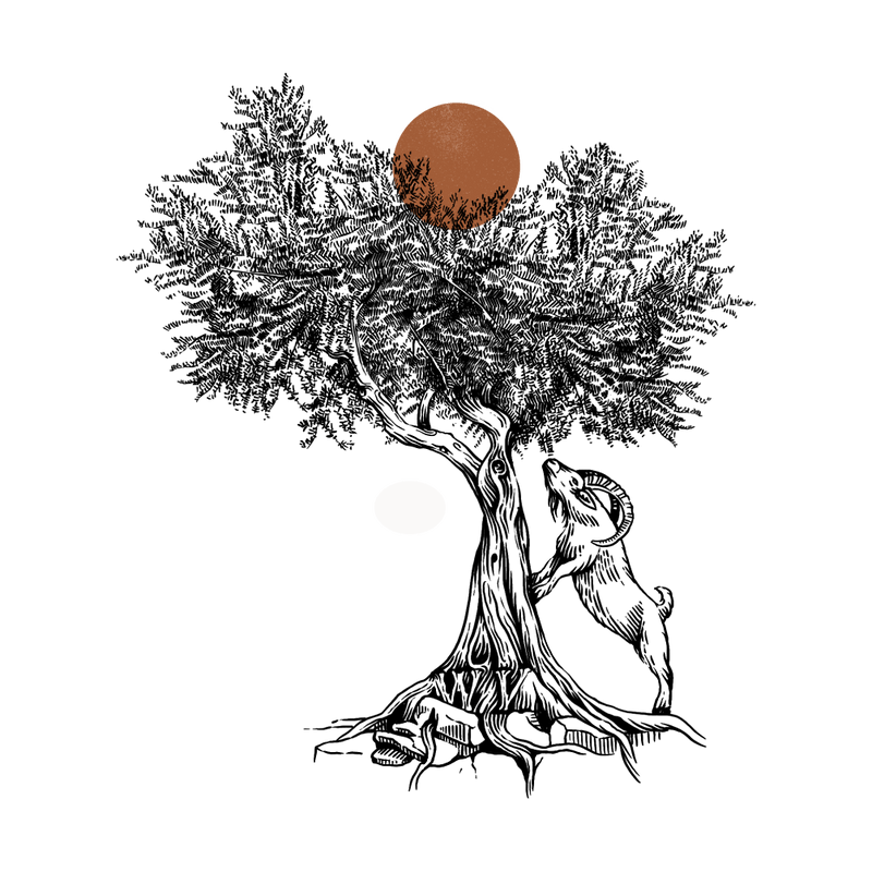 Custom Image